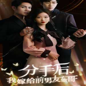 分手后我嫁给前男友他哥封面图
