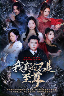 我真的不是至尊封面图