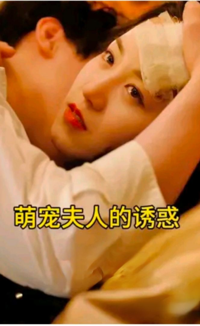 萌宠夫人的诱惑封面图