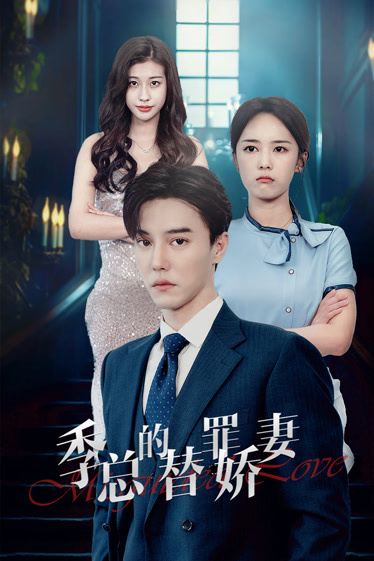 季总的替罪娇妻封面图