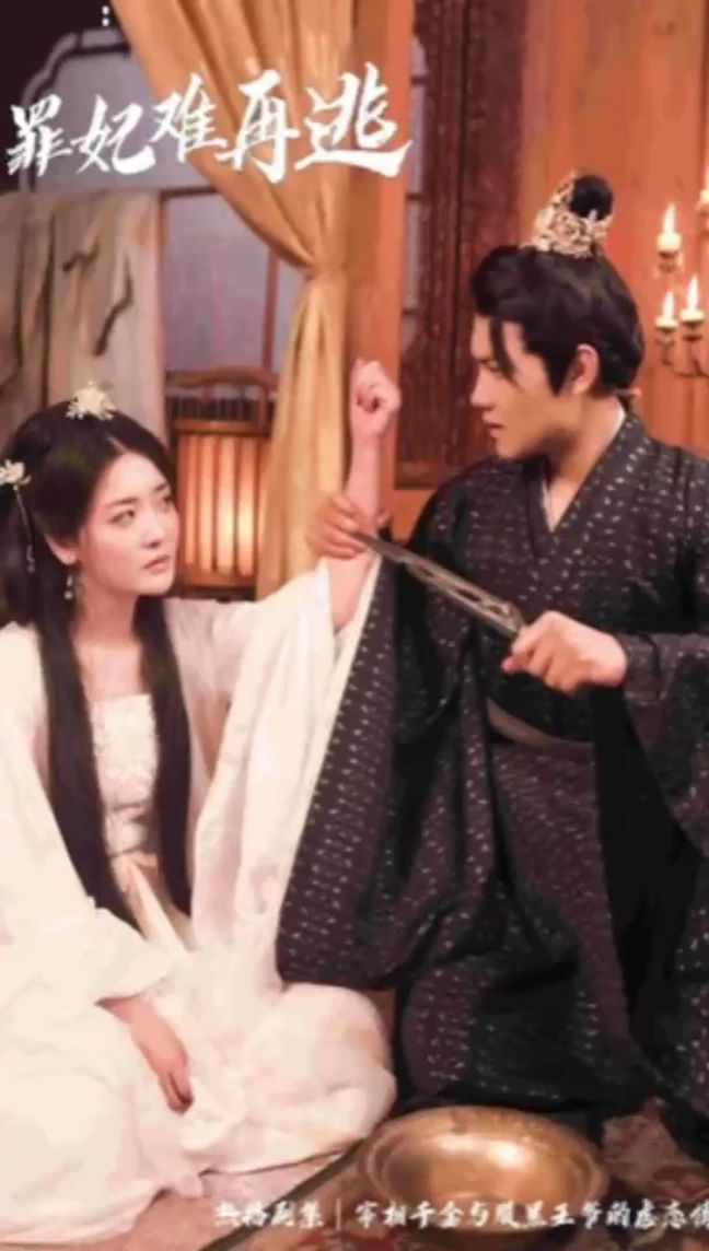 只愿从来不识君&罪妃难再逃封面图