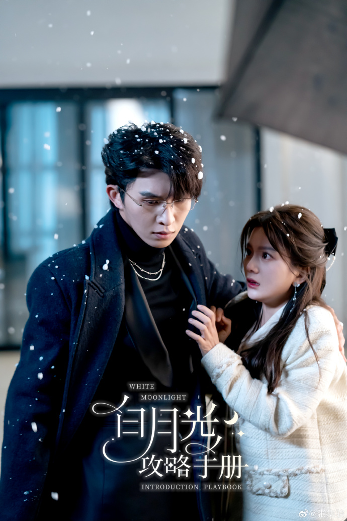 白月光攻略手册封面图