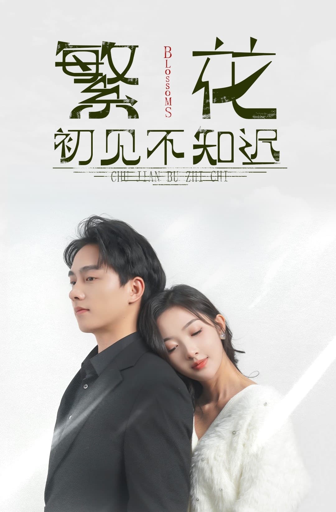 繁花初见不知迟封面图