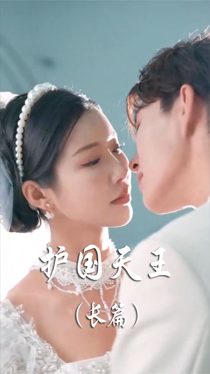 护国天王封面图