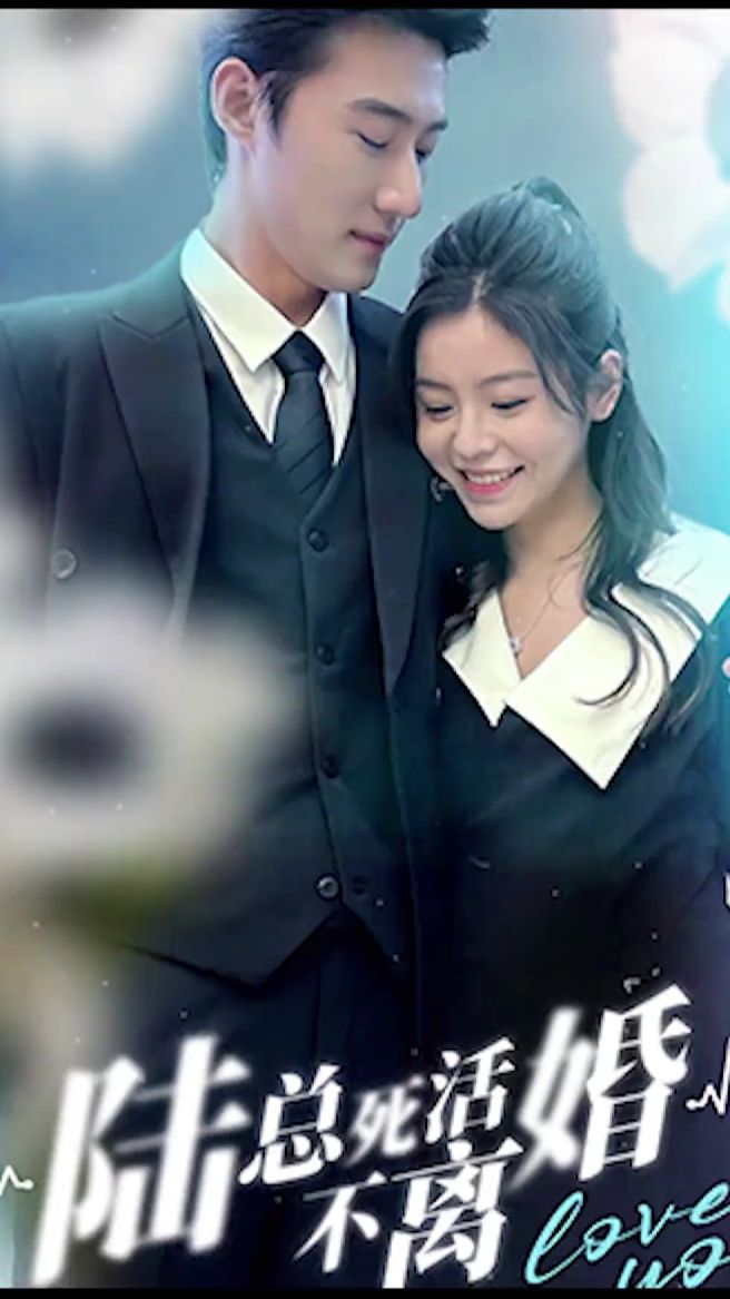 陆总死活不离婚封面图