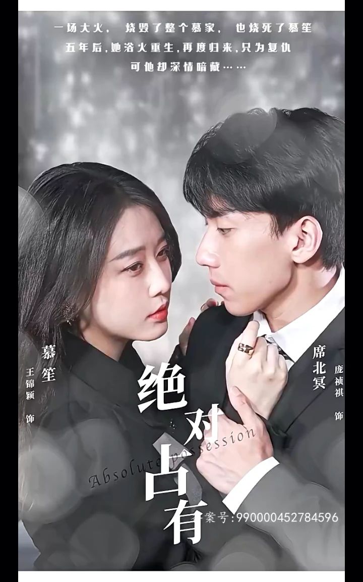 绝对占有封面图