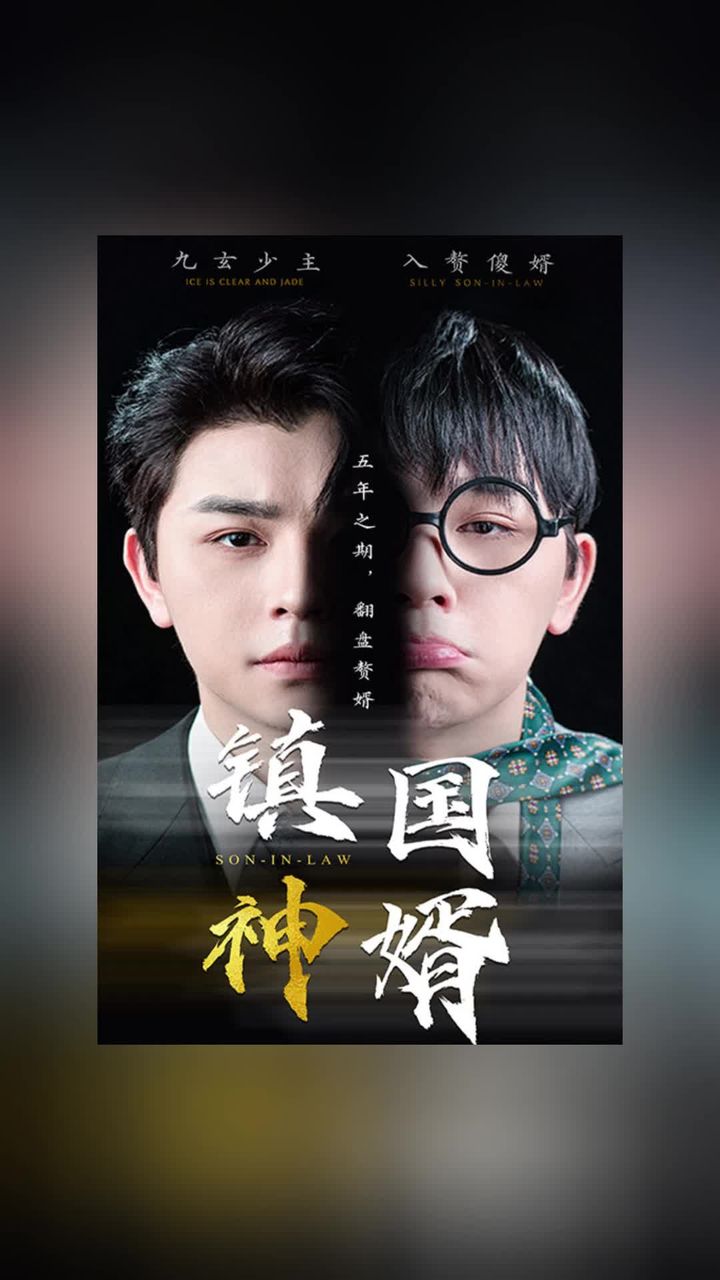 镇国神婿新版封面图