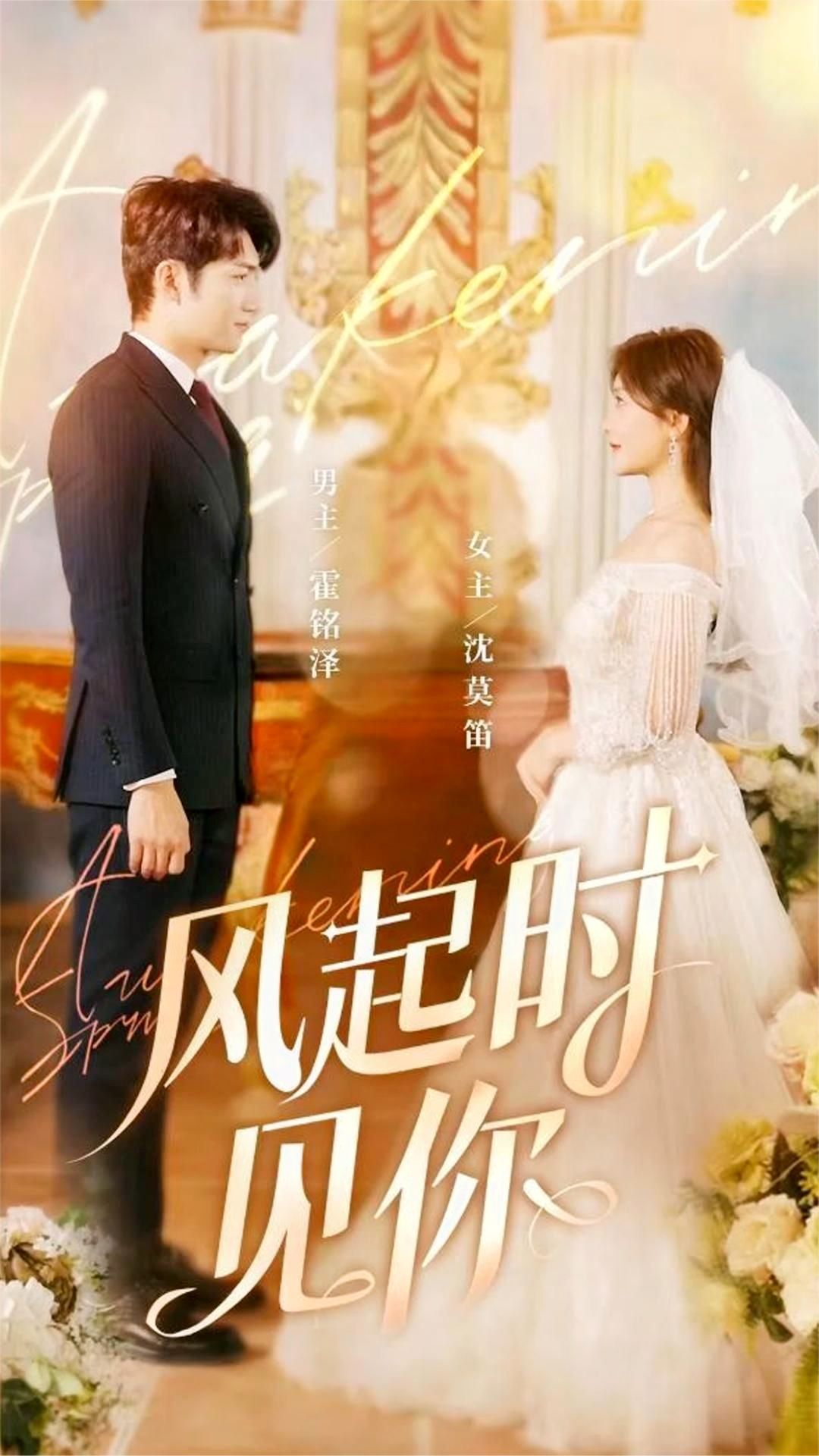 风起时见你封面图