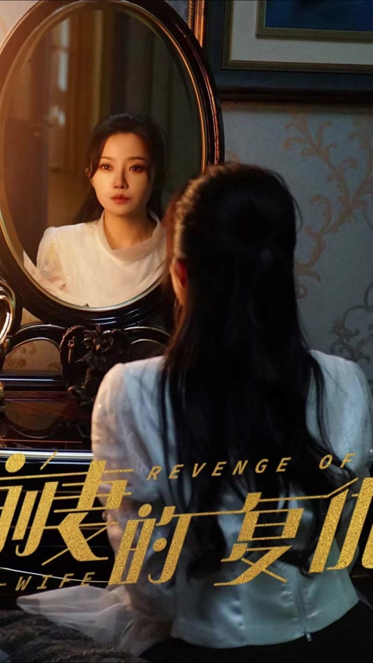 前妻的复仇封面图