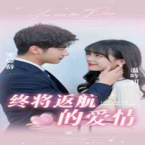 终将返航的爱情封面图