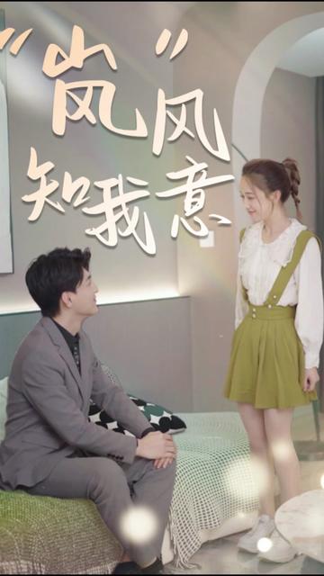 “岚”风知我意封面图