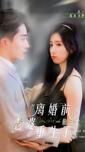 一胎二宝：离婚前老婆重生了封面图