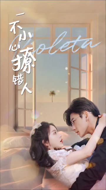 一不小心撩错人封面图