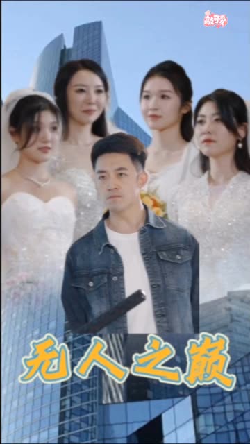 无人之巅封面图