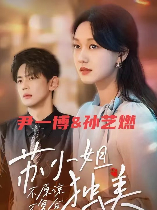 不原谅不复合苏小姐独美封面图