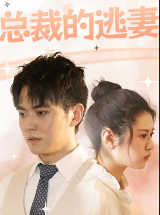 总裁的逃妻封面图