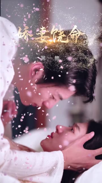 娇妻饶命封面图