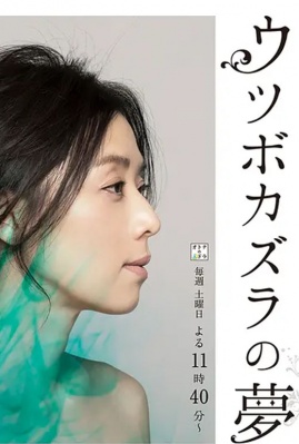 猪笼草之梦封面图