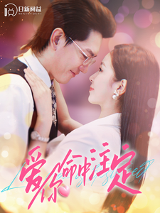 爱你命中注定封面图