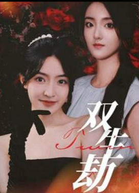 双生劫短剧封面图