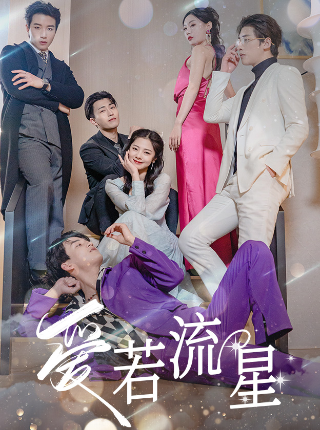 爱若流星封面图