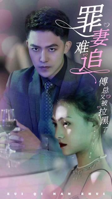 罪妻难追傅总又被拉黑了封面图