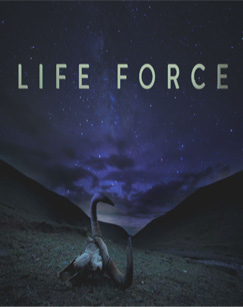 生命的力量封面图