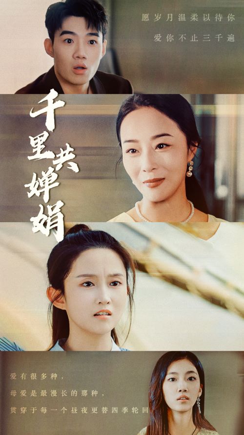 千里共婵娟封面图