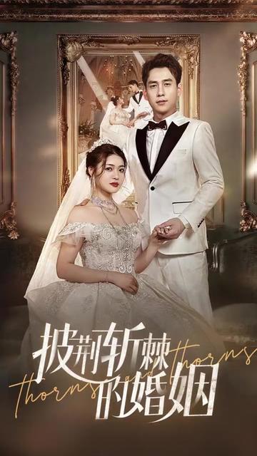 新版：披荆斩棘的婚姻封面图