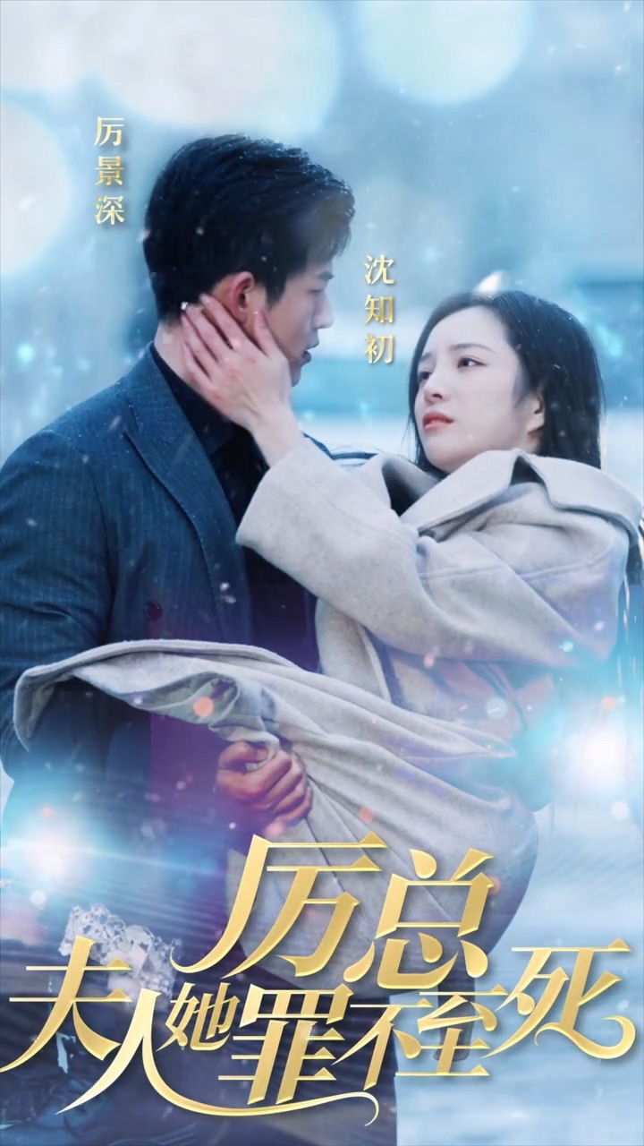 厉总夫人她罪不至死封面图