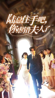 陆总住手吧，你虐错夫人了封面图