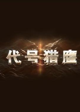代号猎鹰封面图