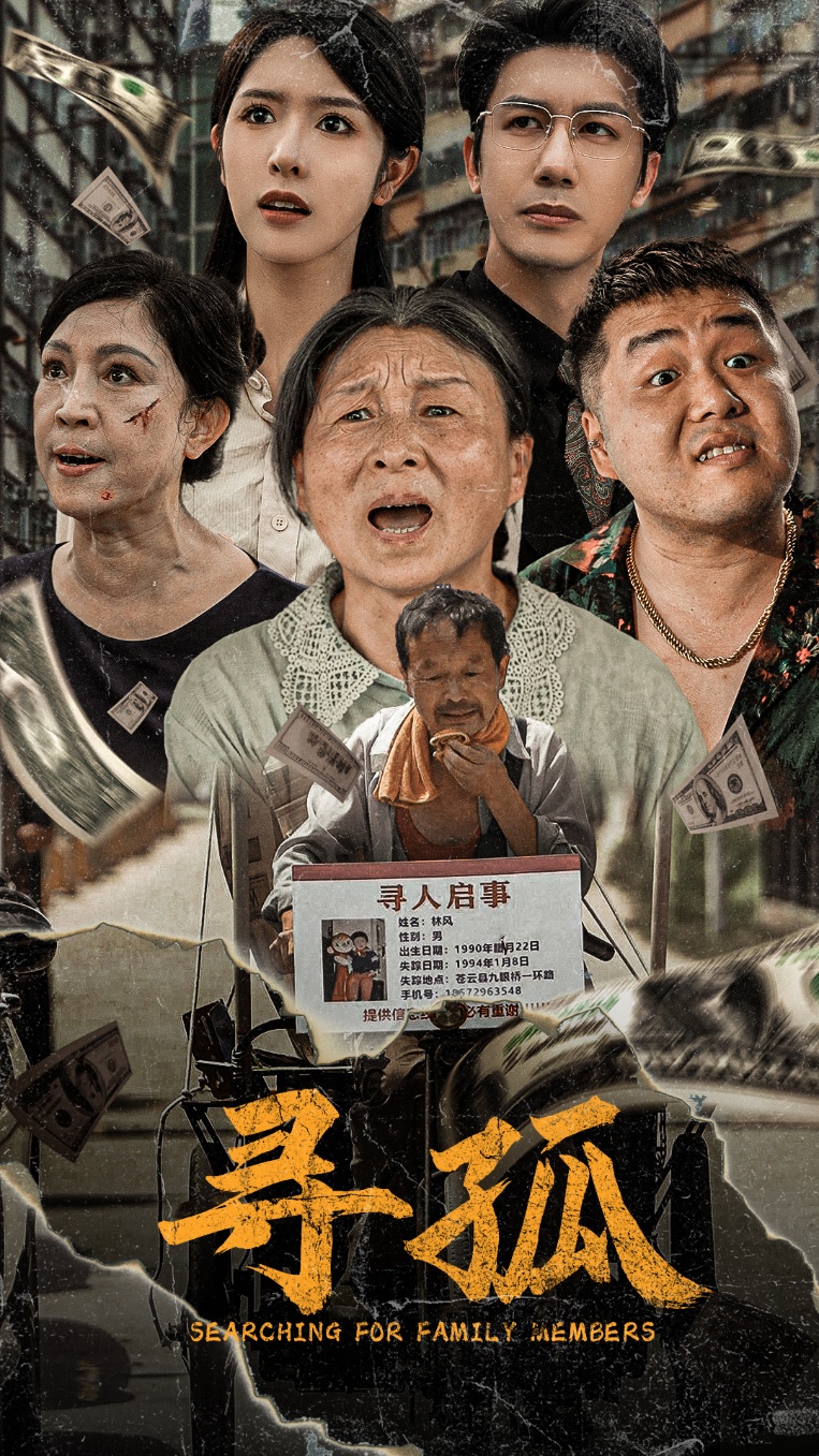 寻孤短剧封面图