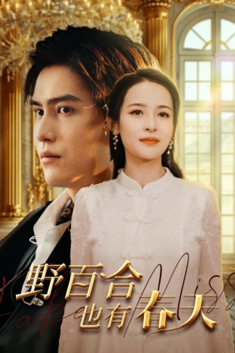 野百合也有春天短剧封面图