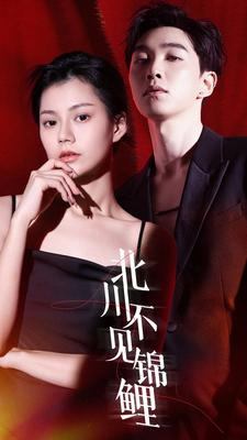 北川不见锦鲤封面图