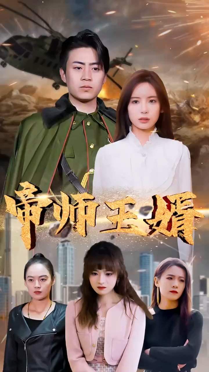 帝师王婿封面图