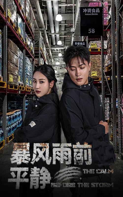 暴风雨前的平静封面图