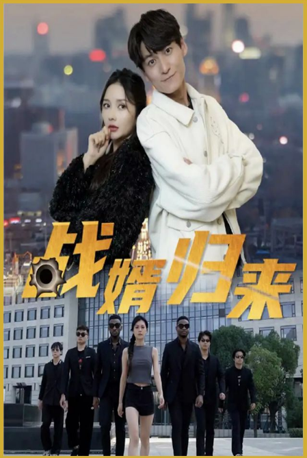 战婿归来封面图