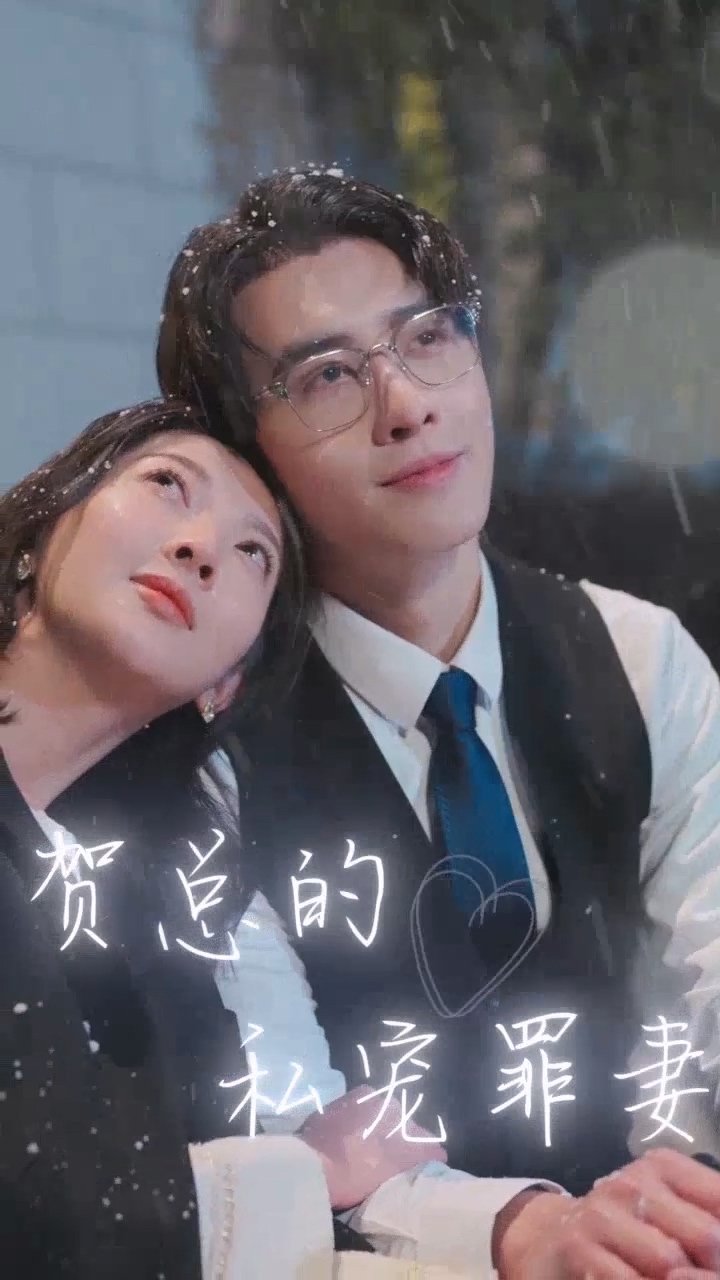 贺总的私宠罪妻封面图