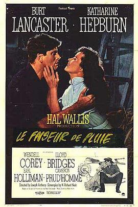 天从人愿封面图