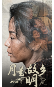 月是故乡明封面图