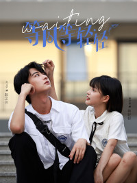 等风等轻轻封面图