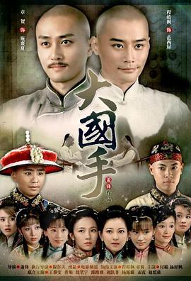 大国手之才子佳人封面图