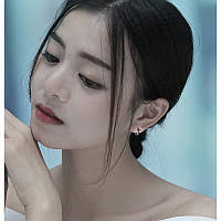 不可碰触的她封面图