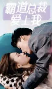 霸道总裁爱上我封面图
