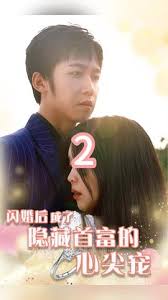 闪婚后成了隐藏首富的心尖宠封面图