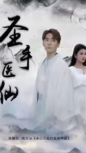 圣手医仙封面图