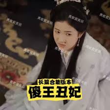 傻王丑妃封面图