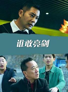 谁敢亮剑封面图