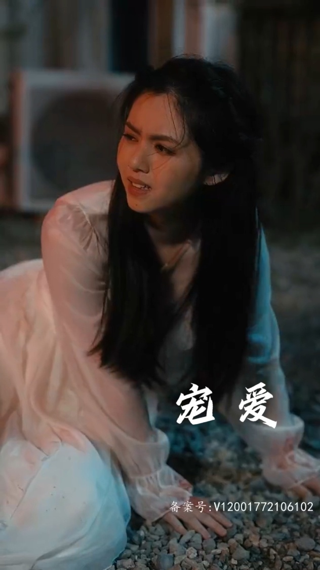 宠爱短剧版封面图